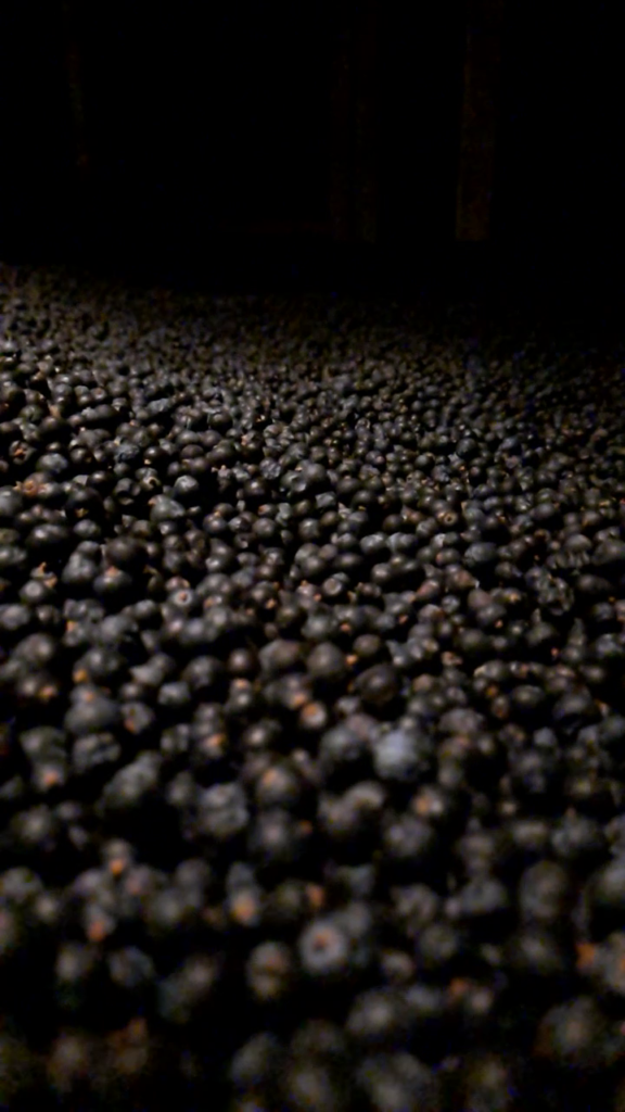 vlcsnap 2025 11 25 22h45m18s296