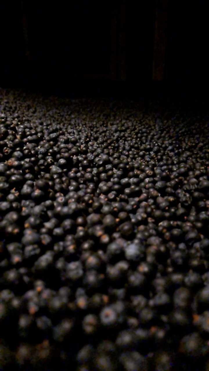 vlcsnap 2025 11 25 22h45m18s296